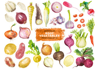 Watercolor painted collection of root vegetables. Hand drawn fresh food design elements isolated on transparent background. - Powered by Adobe