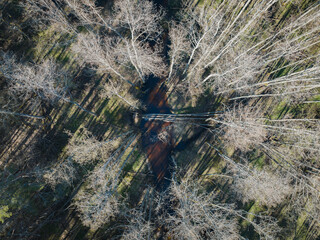 Obraz premium Beaver dam on the forest river Loo in spring, photo from above from a drone.