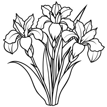 recommend clip art: Iris Flower Bouquet outline illustration coloring book page design, Iris Flower Bouquet black and white line art drawing coloring book pages for children and adults