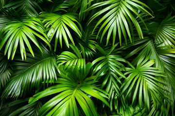 Tropical green palm leaves. Close-up. Concept: abstract natural background, background textures. Generative AI.