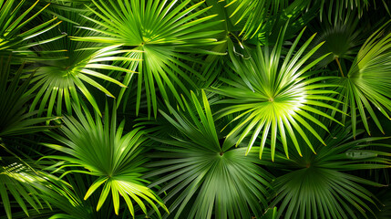 Tropical green palm leaves. Close-up. Concept: abstract natural background, background textures. Generative AI.