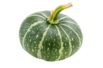 Jolly Green Squash On Transparent Background.