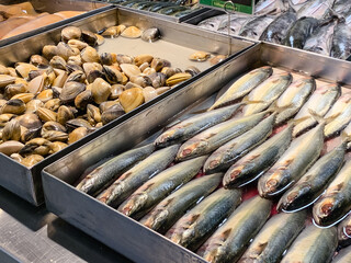 魚　新鮮　生　市場