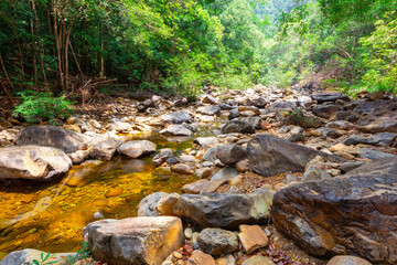 Stream in the tropical jungles of South East Asia