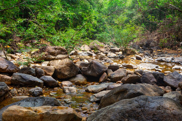 Stream in the tropical jungles of South East Asia