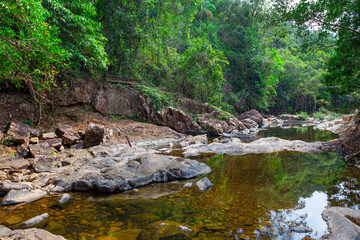 Fototapeta premium Stream in the tropical jungles of South East Asia