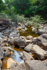 Stream in the tropical jungles of South East Asia