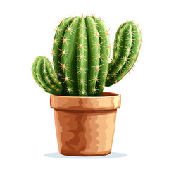 Cactus in a pot. Home plant. illustration illustration.