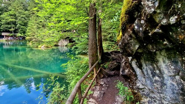 amazing Swiss mountain lakes - beautiful fairytale Blausee lake with clear trasparent waters. near Kandersteg village. Switzerland travel and scenery

