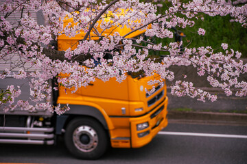 桜並木の横を走るトラック