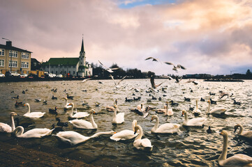 The Reykjavik Free Church is a church in the Free Lutheran congregation of Iceland. In the...