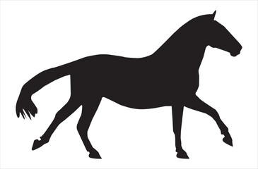 Horse running silhouette. Isolate ector illustration.
