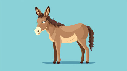 cute Donkey tiny small wild animal Isolated on color