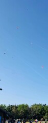 kite flying in the blue sky