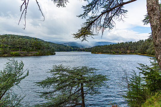 Lac du Ternay, Parc Naturel R&eacute;gional du Pilat, France