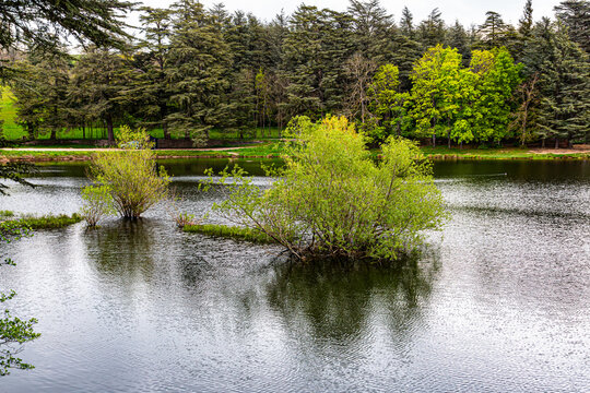 Lac du Ternay, Parc Naturel R&eacute;gional du Pilat, France