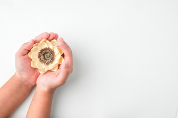 A child holding and offering white lotus flower in the palm of hands isolated on white background. Concept for charity. Empty blank copy text space