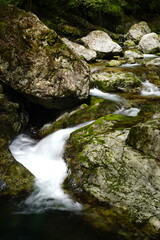 森の中を流れる川　みたらい渓谷の清流　