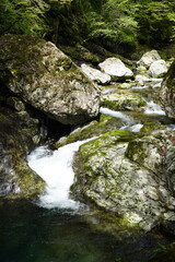 森の中を流れる川　みたらい渓谷の清流　