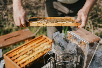 This vintage bee smoker, still active, sends out plumes of smoke, aiding beekeepers in maintaining...