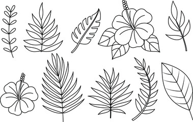 Set of hibiscus flower and wild leaf coloring page for kids and adults. Summer outline illustration © Saly