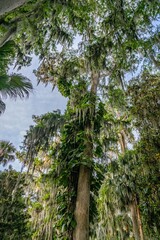 winter park, florida