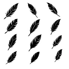 feather pen and feathers icon