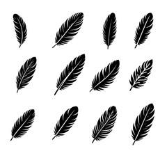 feather pen and feathers icon