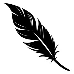 Obraz premium silhouette of a feather