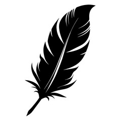 Fototapeta premium silhouette of a feather