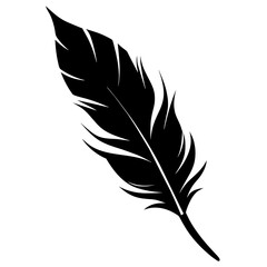Obraz premium silhouette of a feather