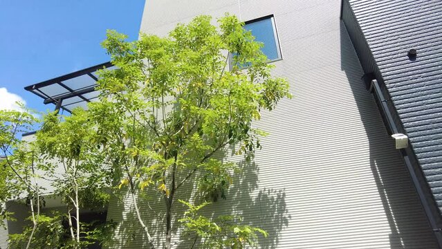 新しい家の外観と植栽（動画）