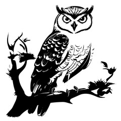 owl on branch