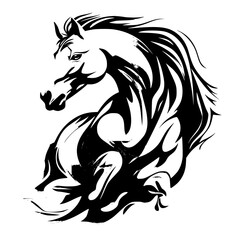 black and white horse