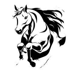 horse isolated on white