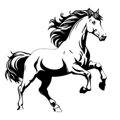 horse vector