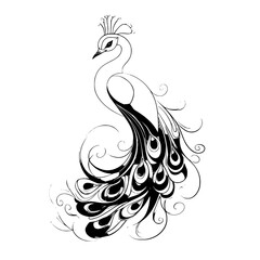 pearl peacock vector