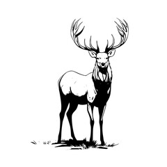 stag silhouette vector