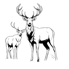 silhouette of a silverback stag