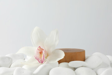 Presentation for product. Wooden podium and orchid flower on white pebbles. Space for text