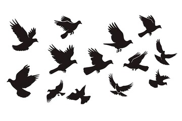 Doves are flying. Silhouette of pigeons that fly on a white background. Vector illustration. .
