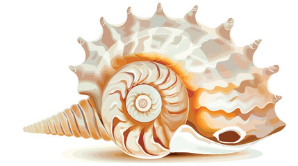 Beautiful sea shell on white background style