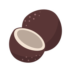 Flat vector coconut isolated on white background