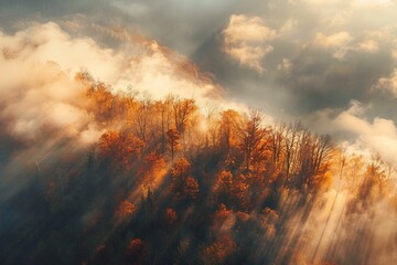 Aerial view of mountain forest in low clouds at sunrise in autumn. Hills with red and orange trees in fog in fall. Beautiful landscape with mountain, foggy forest, sunbeams. generative ai. - Powered by Adobe