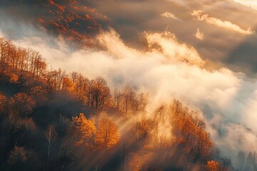 Aerial view of mountain forest in low clouds at sunrise in autumn. Hills with red and orange trees...