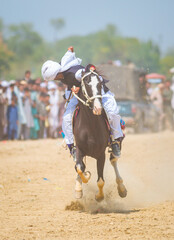 Tent Pegging - Sports in the Punjab - Horse Sports
