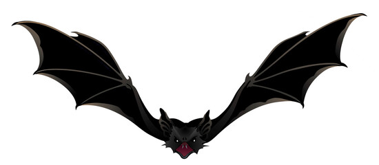 Detailed image of a flying bat isolated on a white background, showcasing its wingspan and unique...