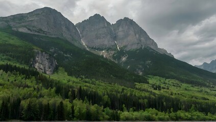 Fototapeta na wymiar high rocky mountains covered with green trees under the cloudy sky