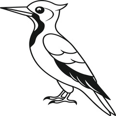 Woodpecker coloring pages. Woodpecker bird outline. Bird line art for coloring book
