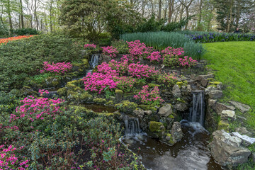 Jardin botanique aux tulipes de Keukenhof , à Lisse aux Pays-Bas	